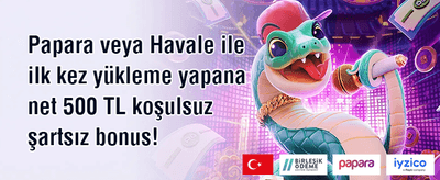 Popüler Slotlarda Bedava Dönüş promotion