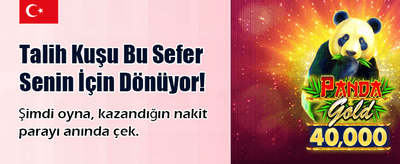 Casinonun Gizli Dünyasını Keşfet